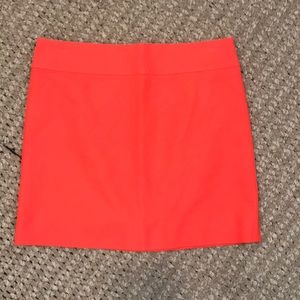 J Crew Skirt